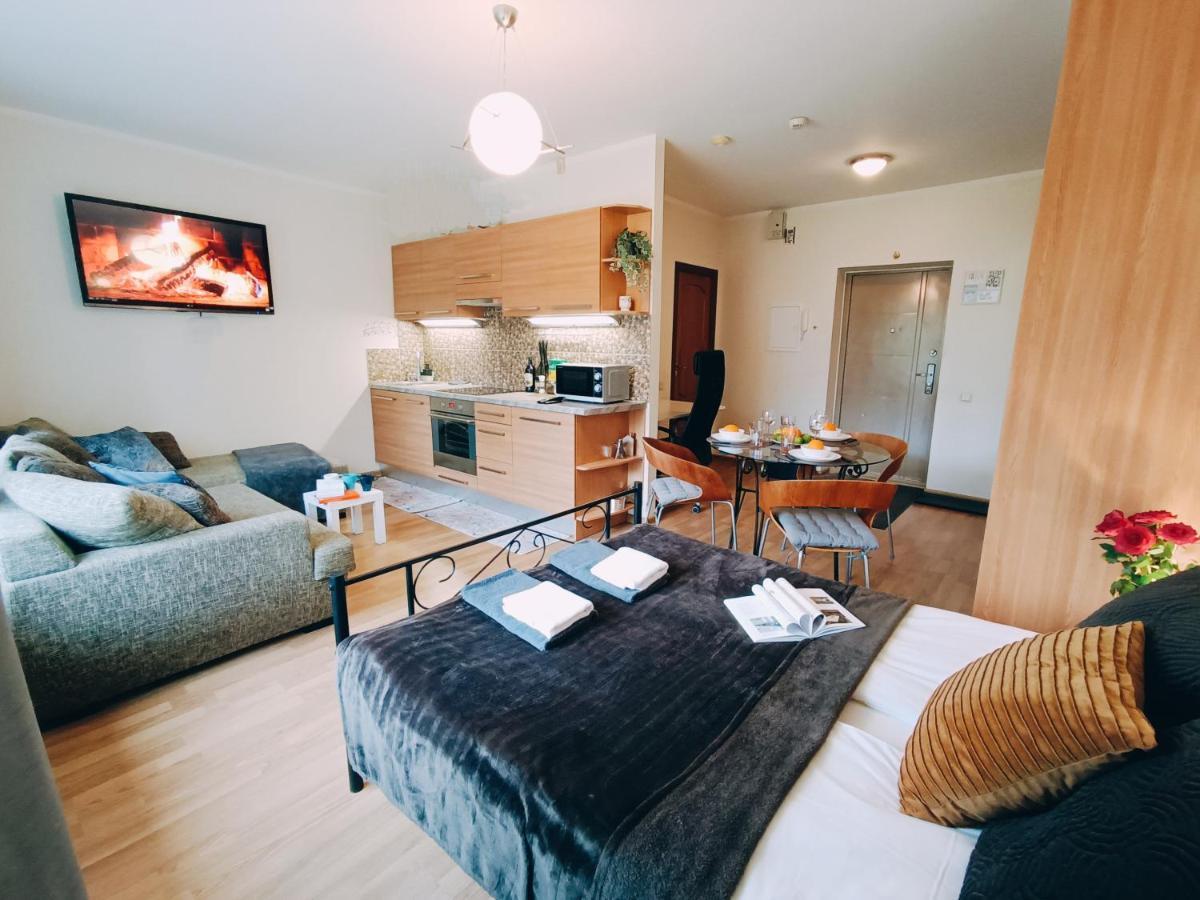 Homey Nest In Midtown Center, Up To 4 Guests, Steps From The Park, Free Parking Apartament Ryga